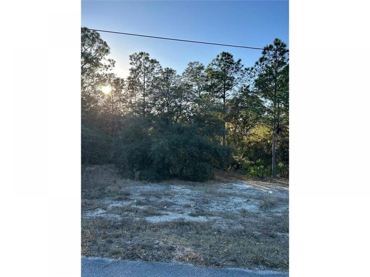 Picture of Residential Land For Sale in Dunnellon, Florida, United States