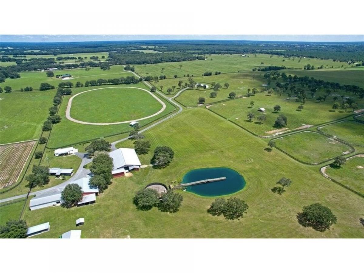 Picture of Home For Sale in Morriston, Florida, United States