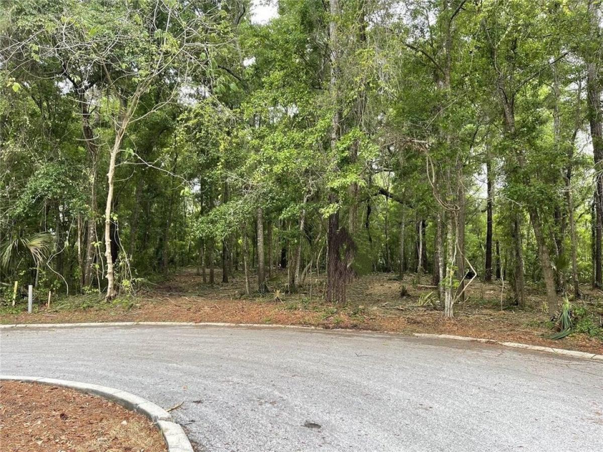 Picture of Residential Land For Sale in Ocala, Florida, United States