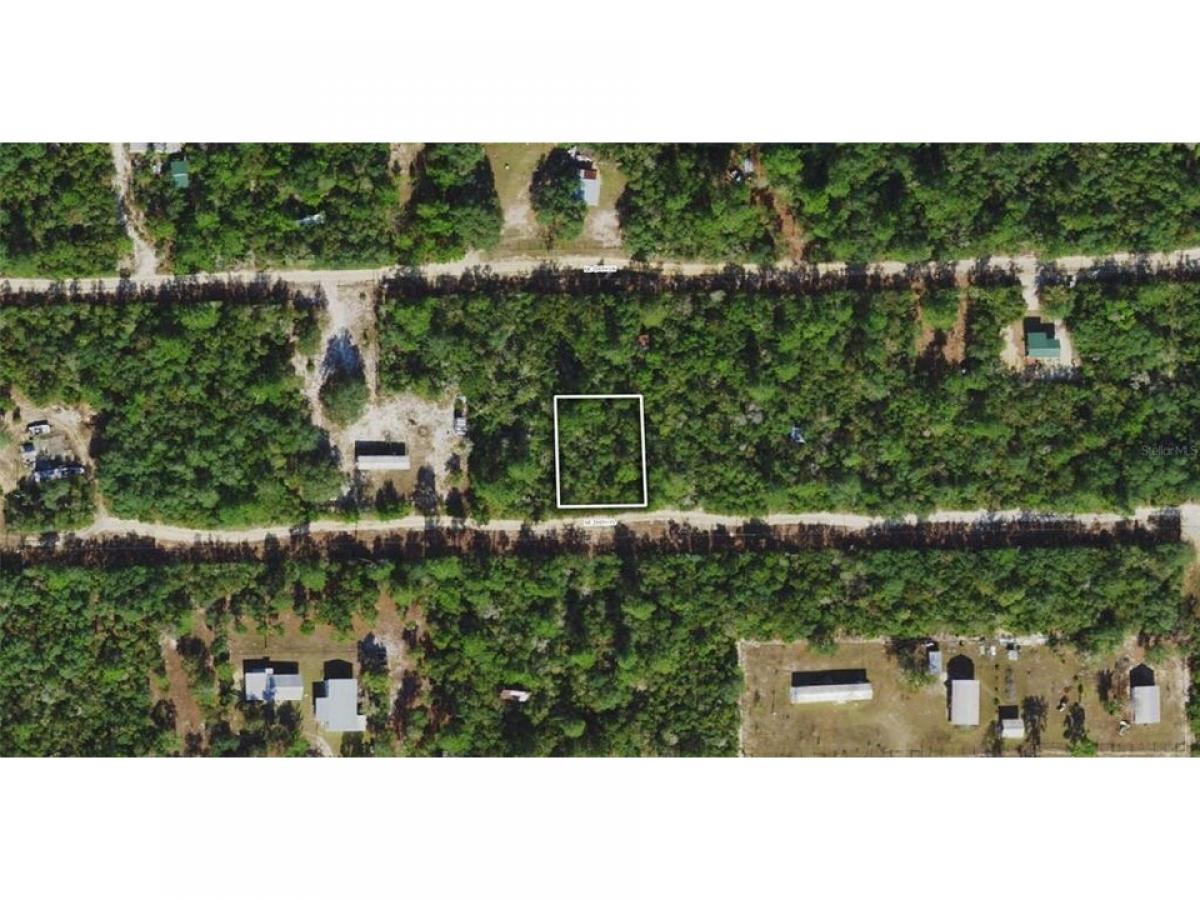 Picture of Residential Land For Sale in Fort Mc Coy, Florida, United States