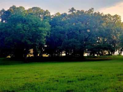 Residential Land For Sale in Ocala, Florida