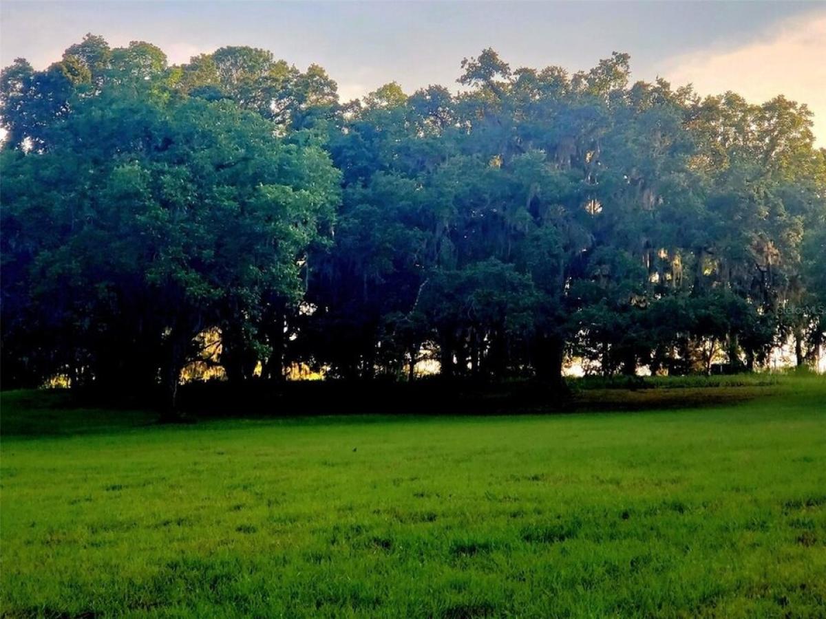 Picture of Residential Land For Sale in Ocala, Florida, United States