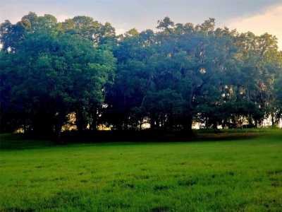 Residential Land For Sale in Ocala, Florida