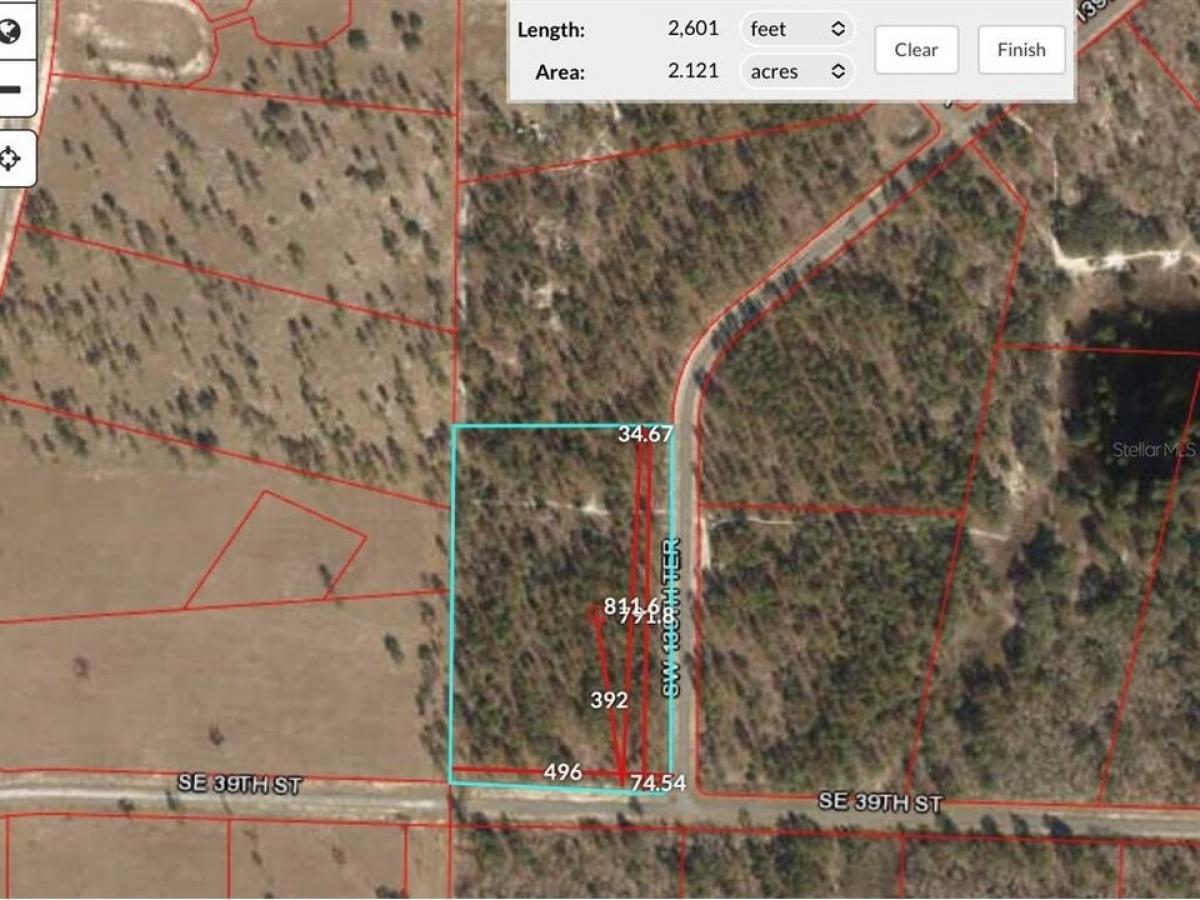 Picture of Residential Land For Sale in Morriston, Florida, United States