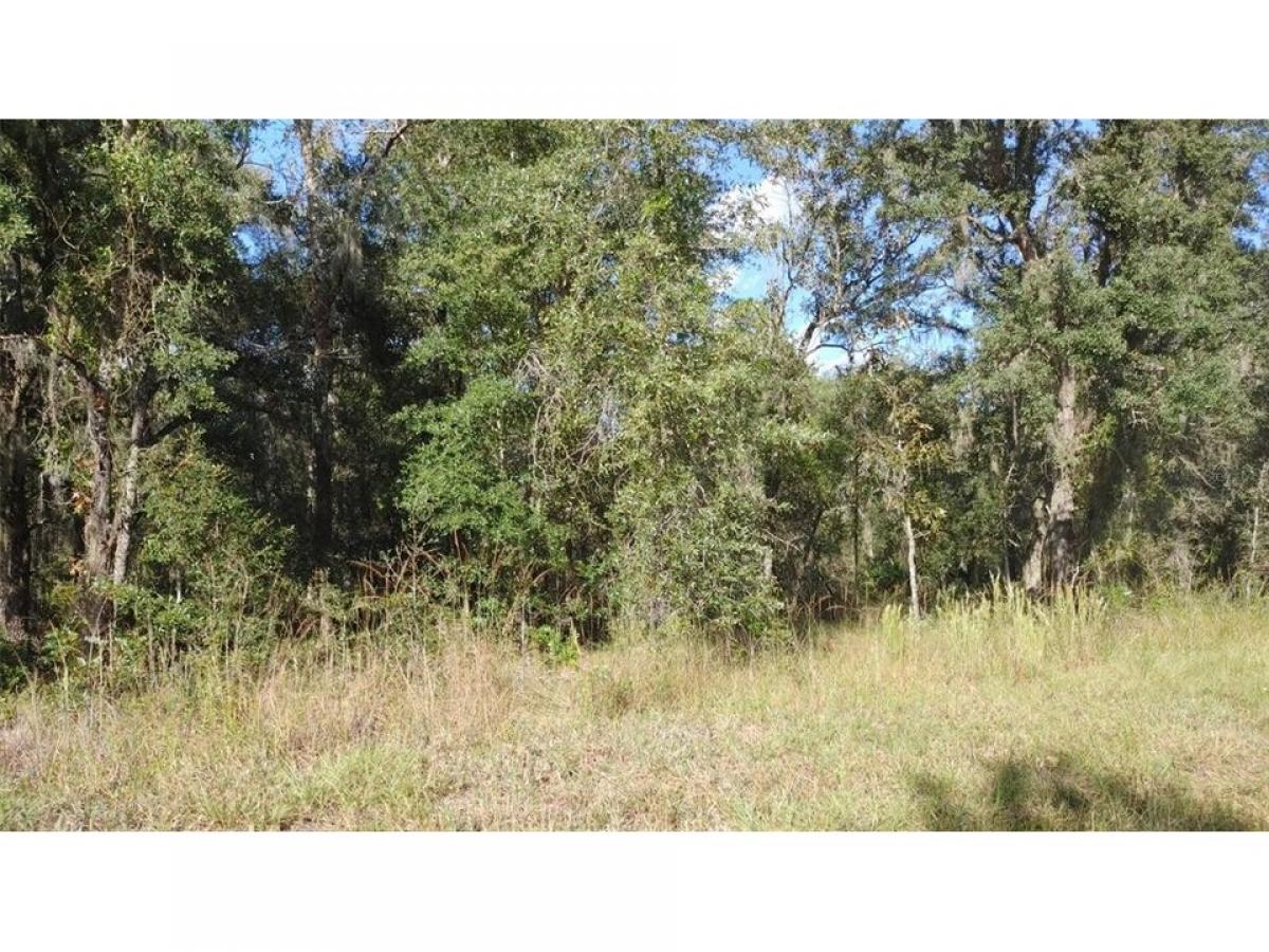 Picture of Residential Land For Sale in Morriston, Florida, United States