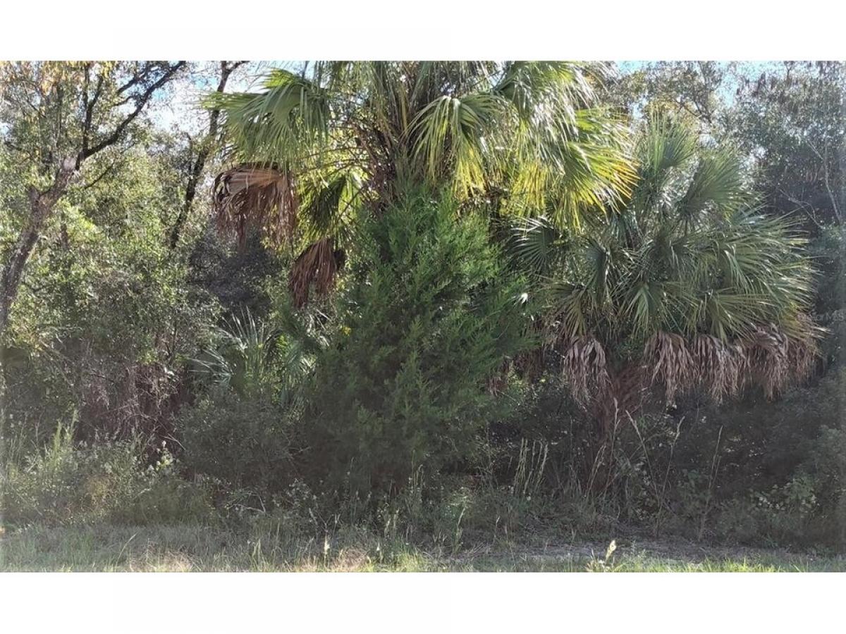 Picture of Residential Land For Sale in Morriston, Florida, United States