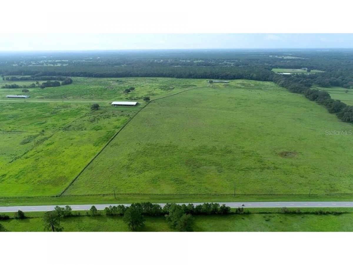 Picture of Residential Land For Sale in Morriston, Florida, United States