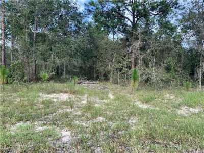 Residential Land For Sale in Morriston, Florida