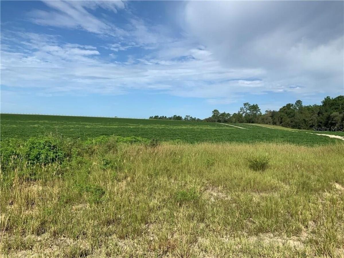 Picture of Residential Land For Sale in Morriston, Florida, United States