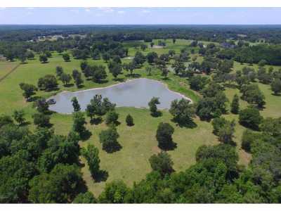 Residential Land For Sale in Ocala, Florida