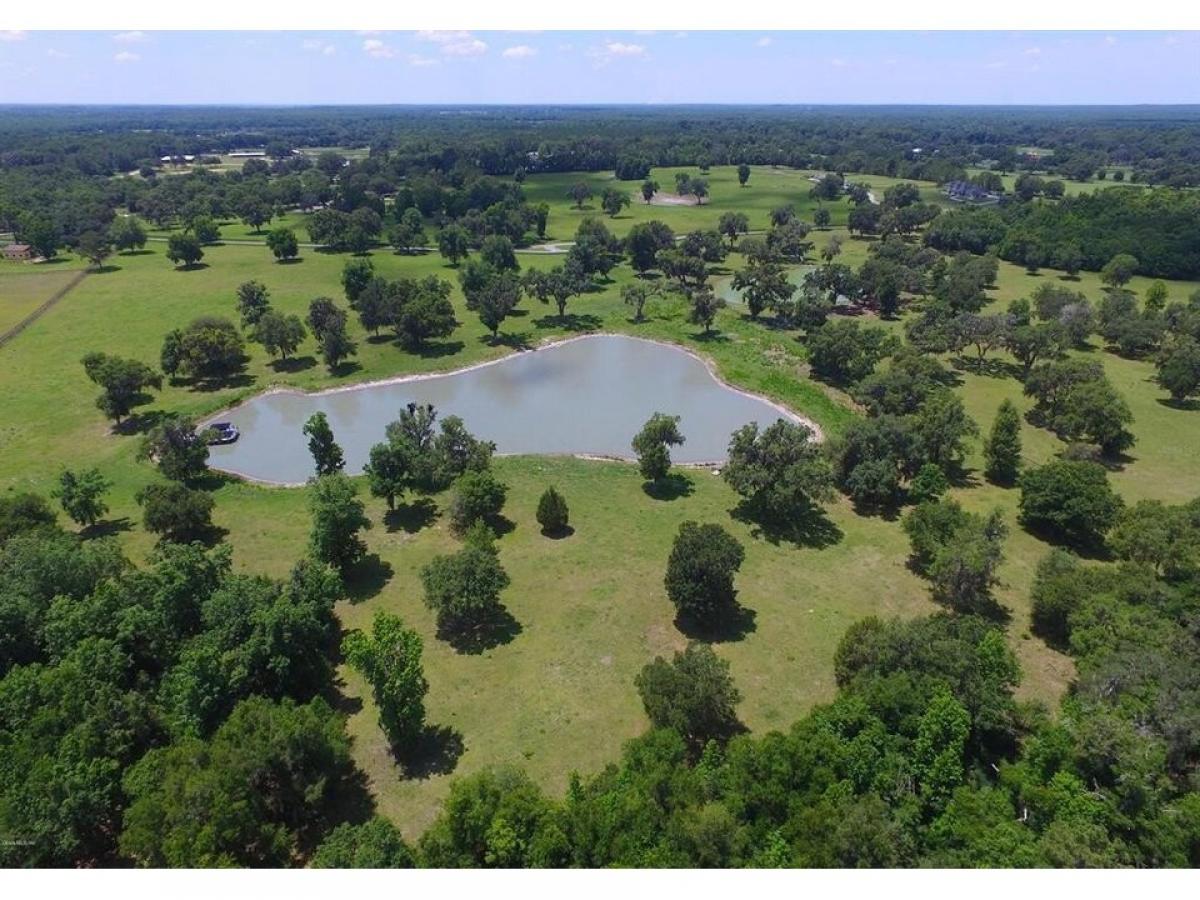 Picture of Residential Land For Sale in Ocala, Florida, United States