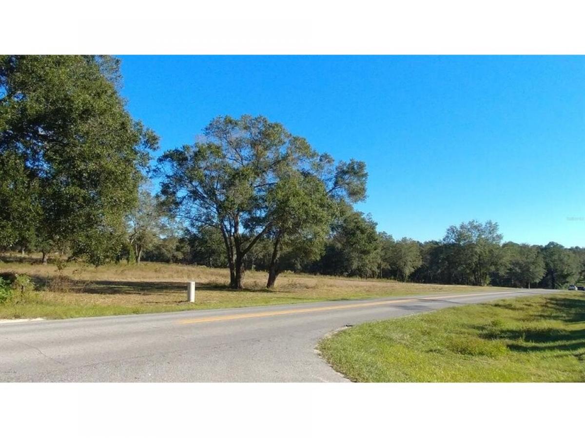 Picture of Residential Land For Sale in Lady Lake, Florida, United States