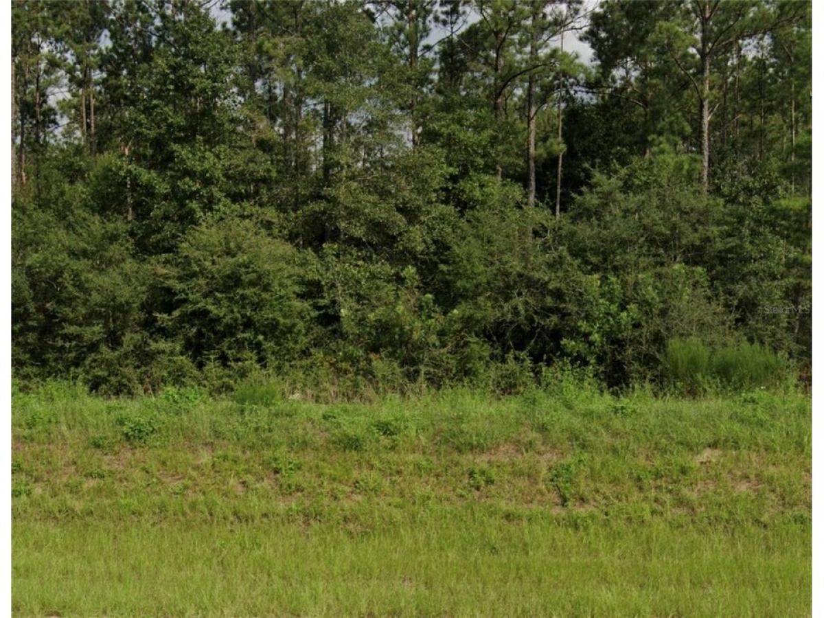 Picture of Residential Land For Sale in Chipley, Florida, United States