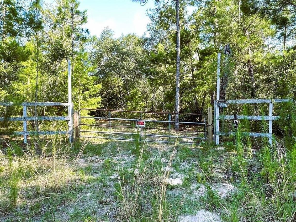 Picture of Residential Land For Sale in Keystone Heights, Florida, United States