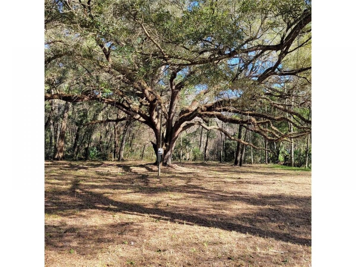 Picture of Residential Land For Sale in Gainesville, Florida, United States