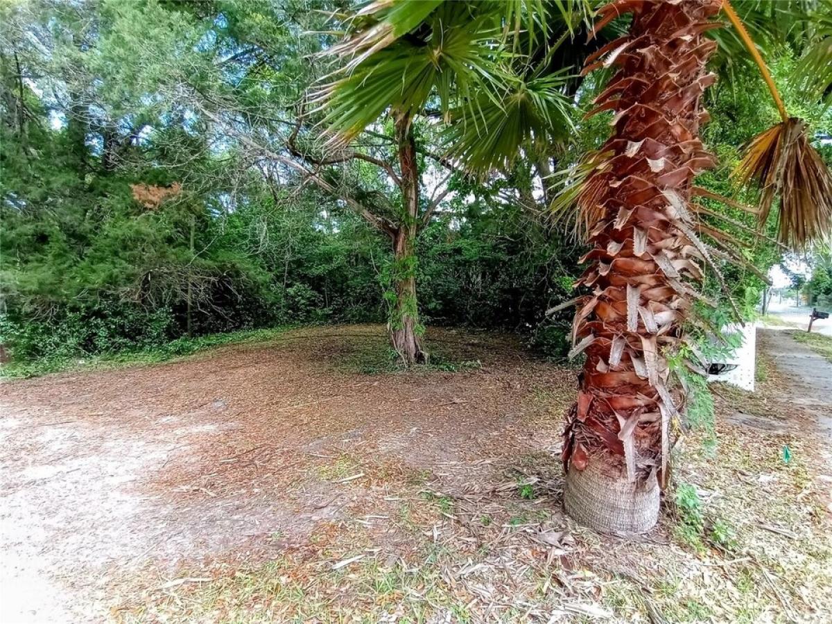 Picture of Residential Land For Sale in High Springs, Florida, United States