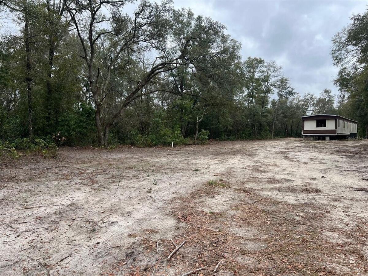 Picture of Residential Land For Sale in Branford, Florida, United States