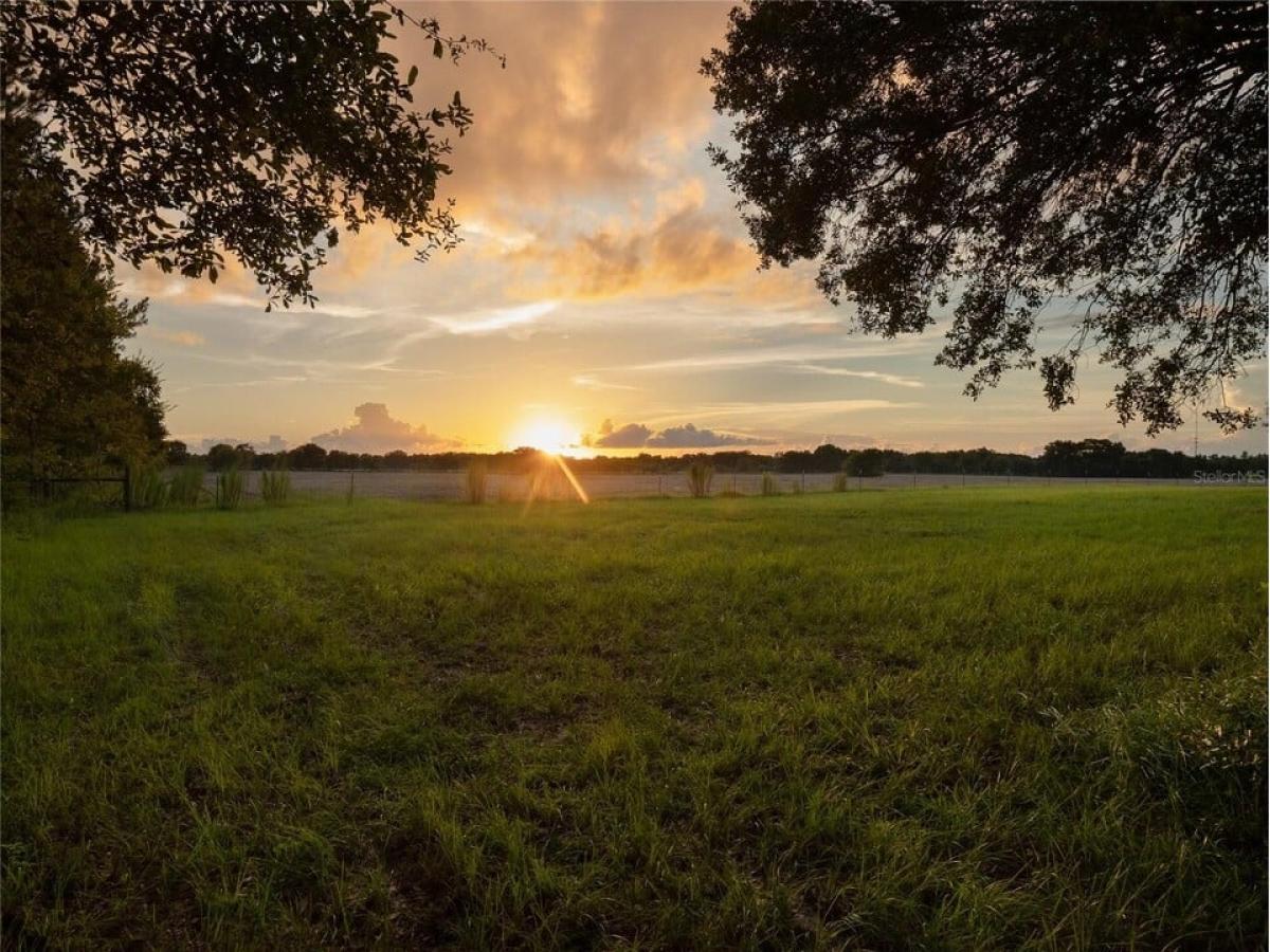 Picture of Residential Land For Sale in Newberry, Florida, United States