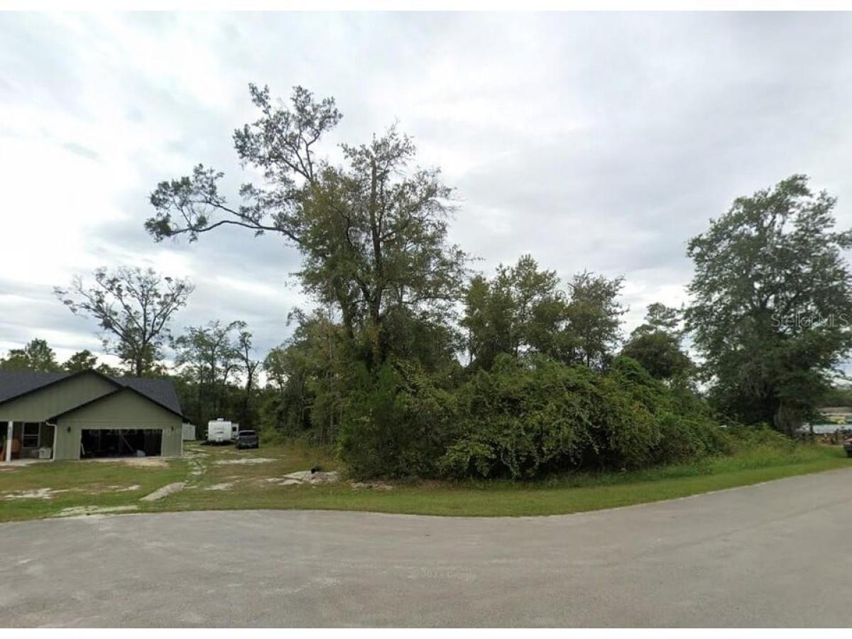 Picture of Residential Land For Sale in Hampton, Florida, United States