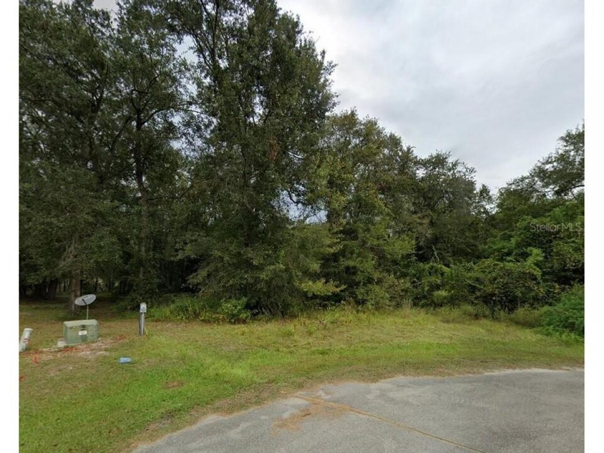 Picture of Residential Land For Sale in Hampton, Florida, United States