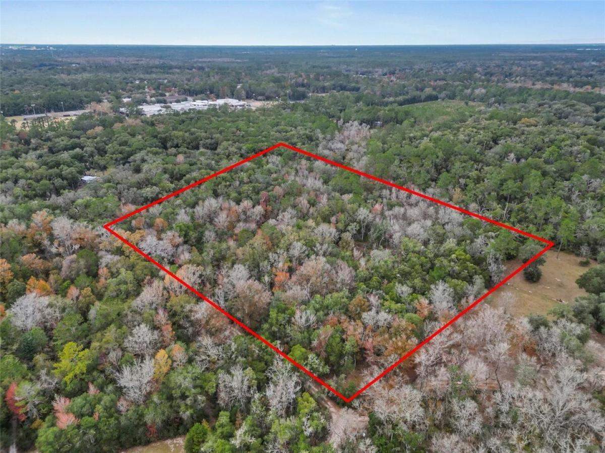 Picture of Residential Land For Sale in Gainesville, Florida, United States