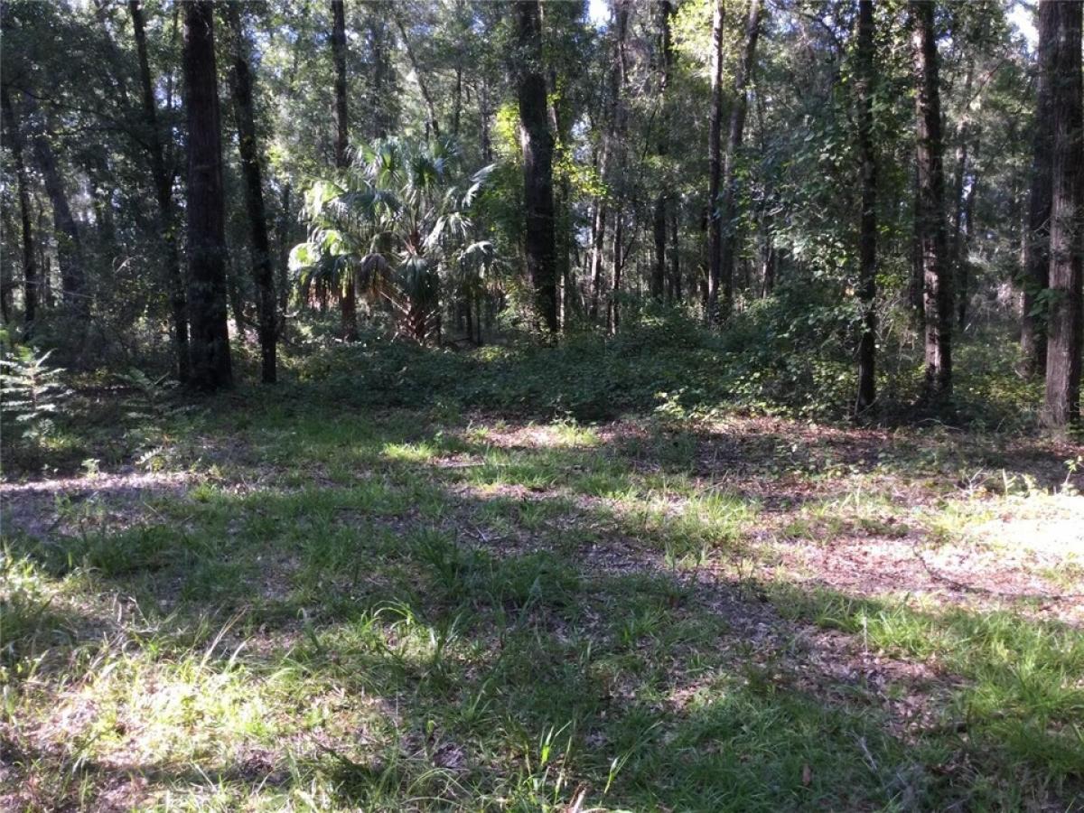 Picture of Residential Land For Sale in Gainesville, Florida, United States