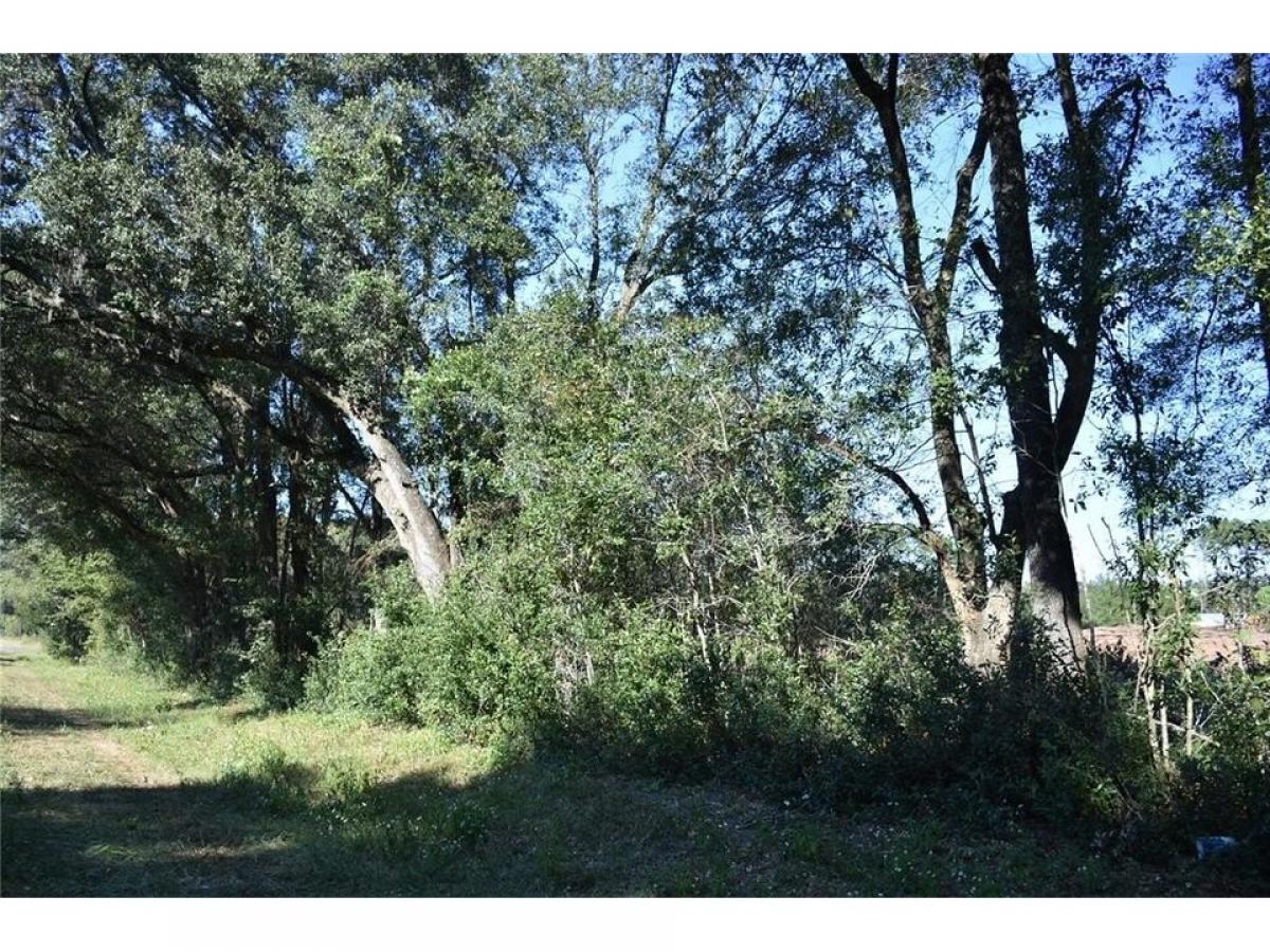 Picture of Residential Land For Sale in Archer, Florida, United States