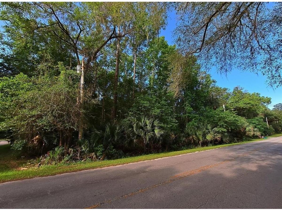 Picture of Residential Land For Sale in Micanopy, Florida, United States