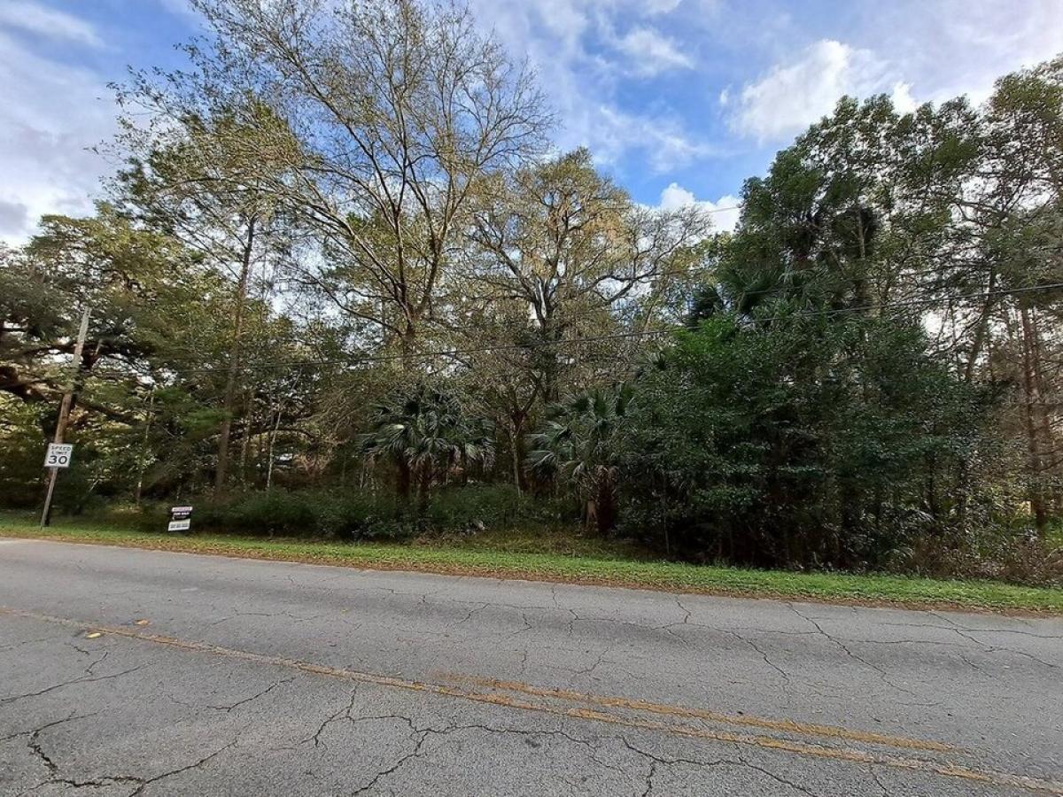 Picture of Residential Land For Sale in Micanopy, Florida, United States