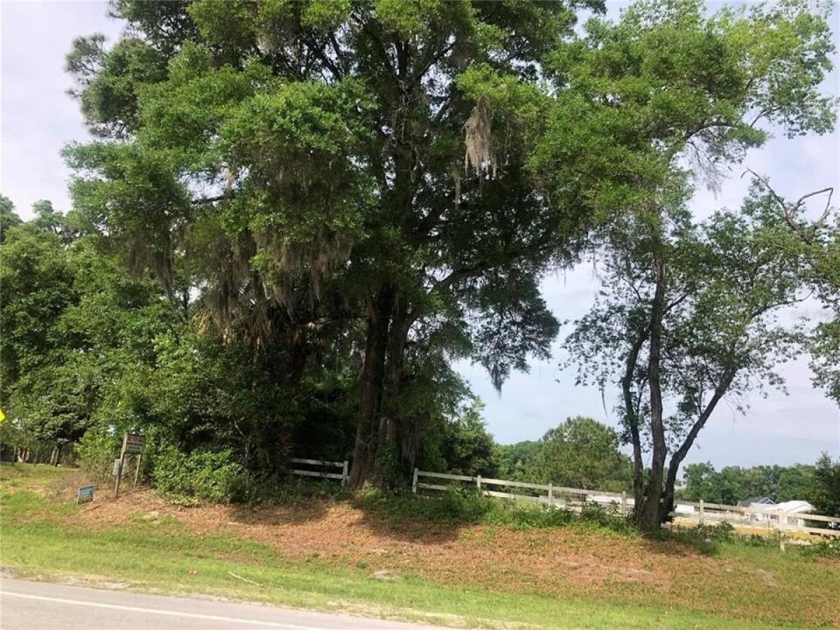 Picture of Residential Land For Sale in High Springs, Florida, United States