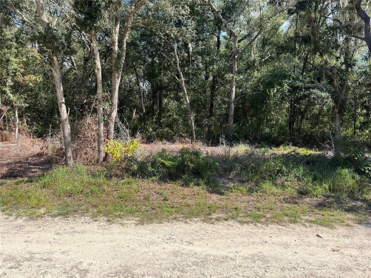 Picture of Residential Land For Sale in Inverness, Florida, United States