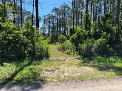 Residential Land For Sale in Bunnell, Florida