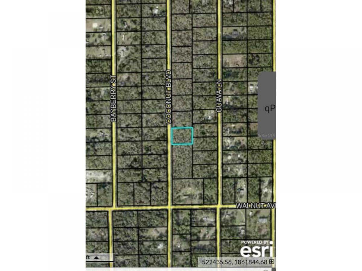 Picture of Residential Land For Sale in Bunnell, Florida, United States