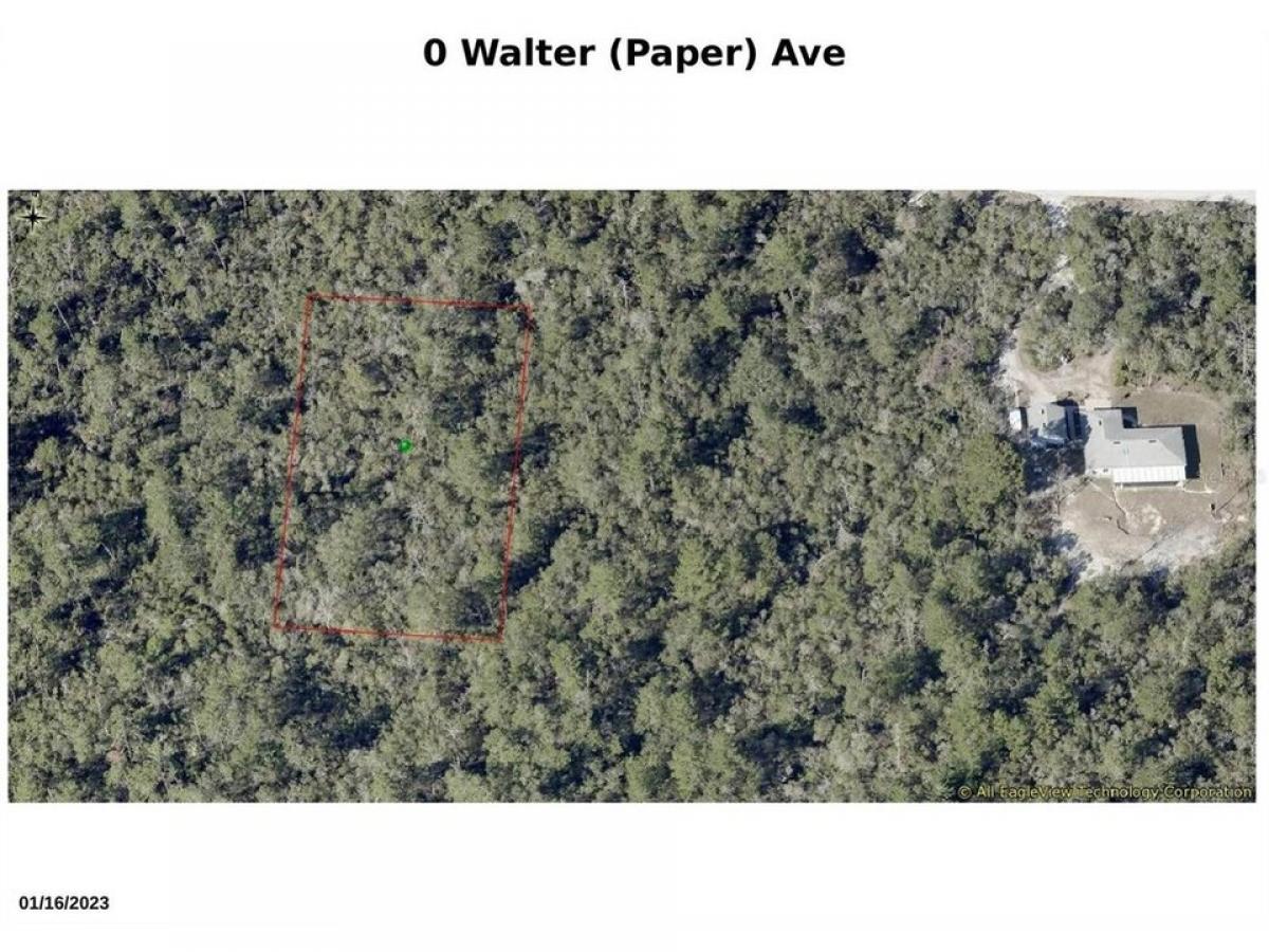 Picture of Residential Land For Sale in Lake Helen, Florida, United States