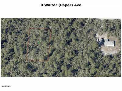 Residential Land For Sale in Lake Helen, Florida