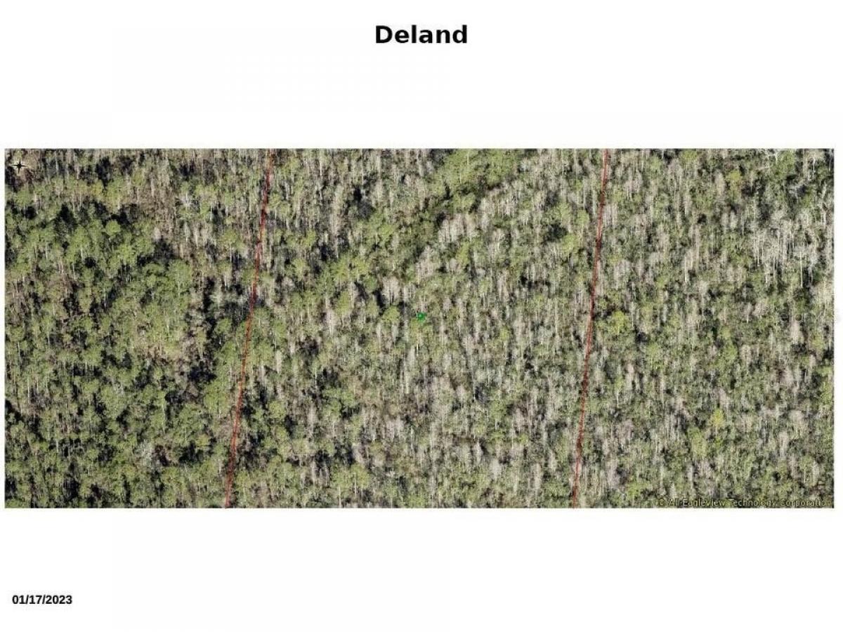 Picture of Residential Land For Sale in Deland, Florida, United States