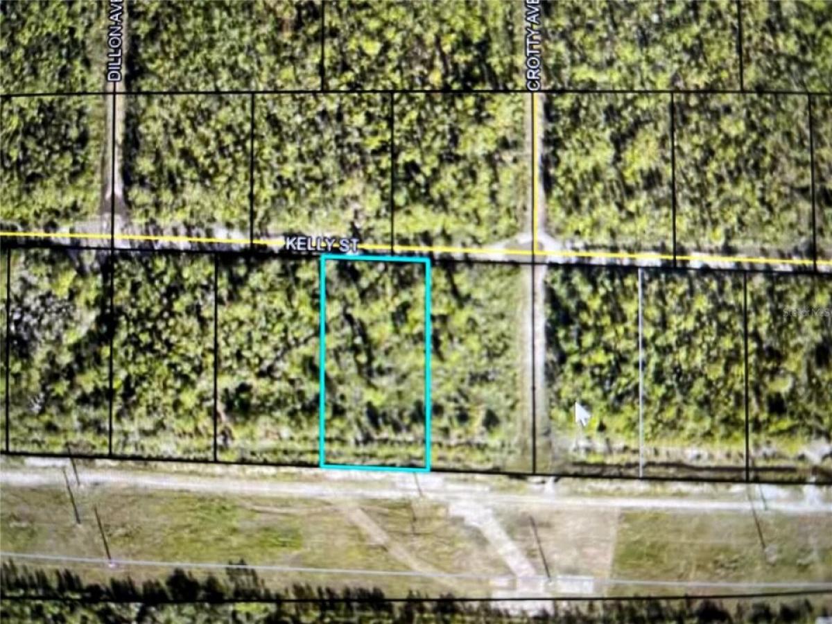 Picture of Residential Land For Sale in Hastings, Florida, United States