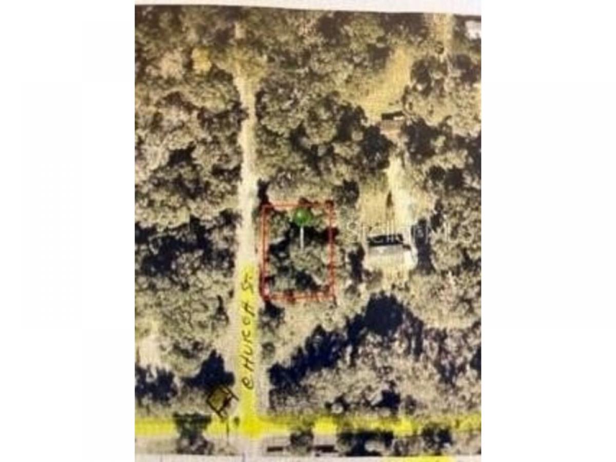 Picture of Residential Land For Sale in Seville, Florida, United States