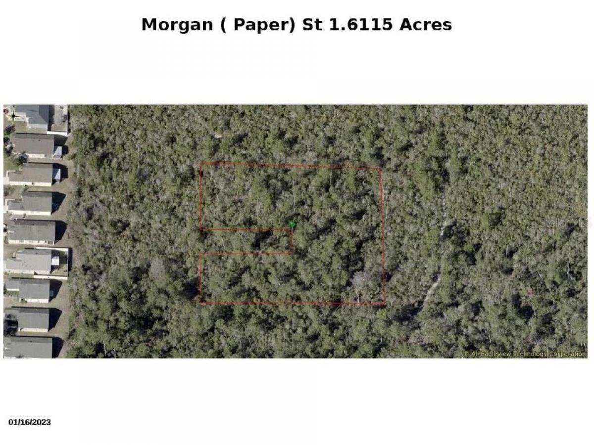 Picture of Residential Land For Sale in Lake Helen, Florida, United States