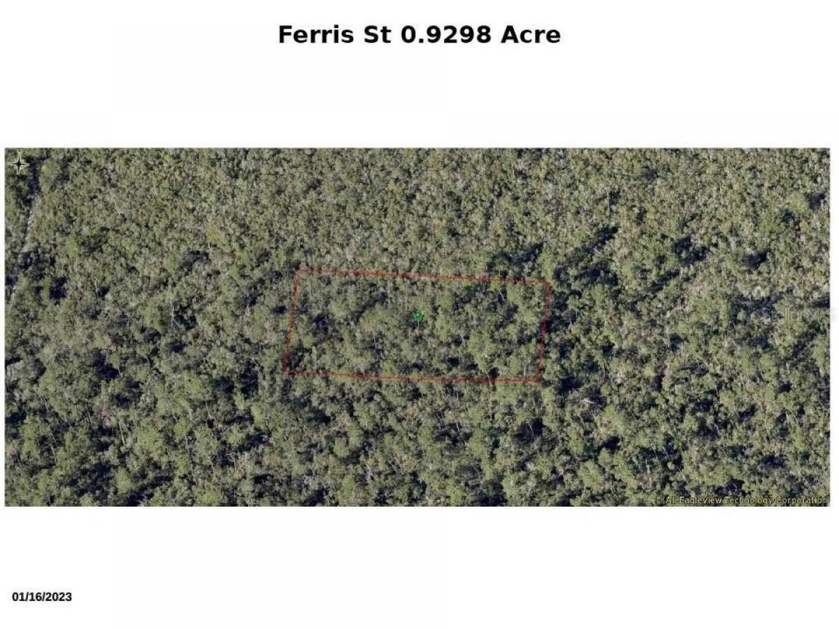 Picture of Residential Land For Sale in Lake Helen, Florida, United States