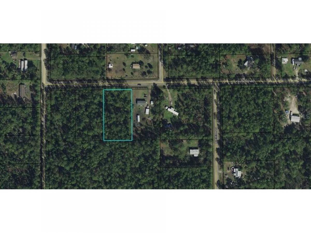 Picture of Residential Land For Sale in Bunnell, Florida, United States