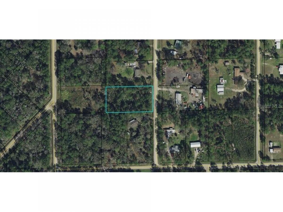 Picture of Residential Land For Sale in Bunnell, Florida, United States