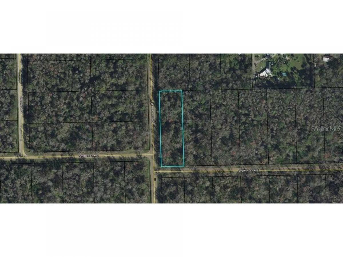 Picture of Residential Land For Sale in Bunnell, Florida, United States