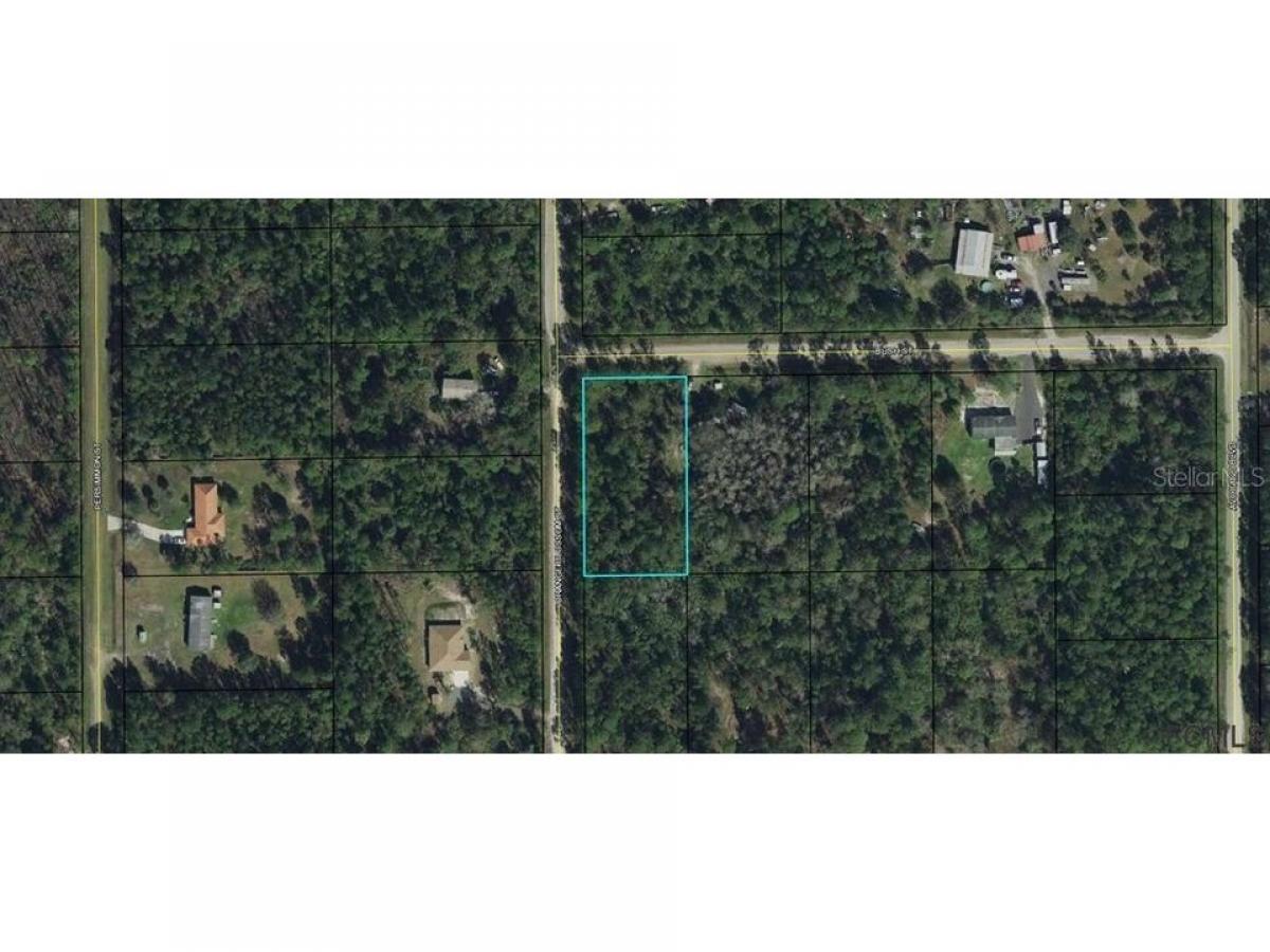 Picture of Residential Land For Sale in Bunnell, Florida, United States