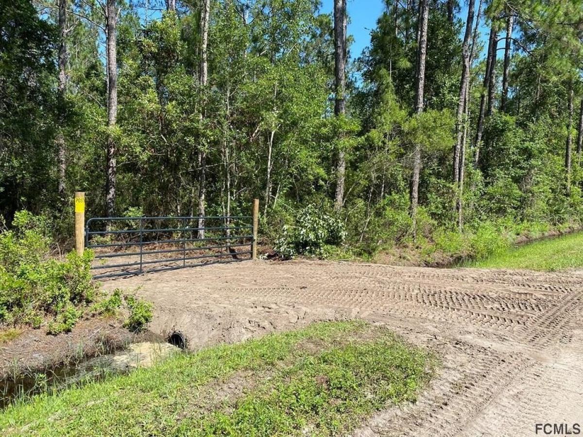 Picture of Residential Land For Sale in Bunnell, Florida, United States