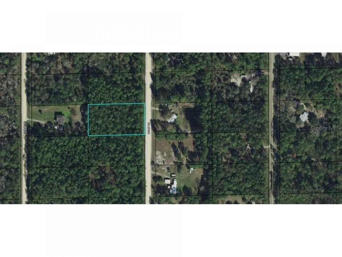 Picture of Residential Land For Sale in Bunnell, Florida, United States