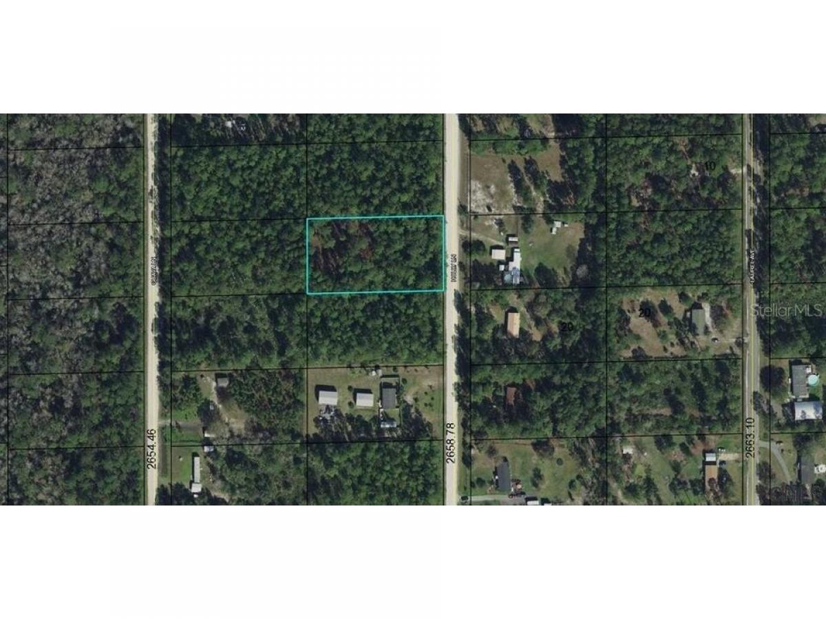 Picture of Residential Land For Sale in Bunnell, Florida, United States