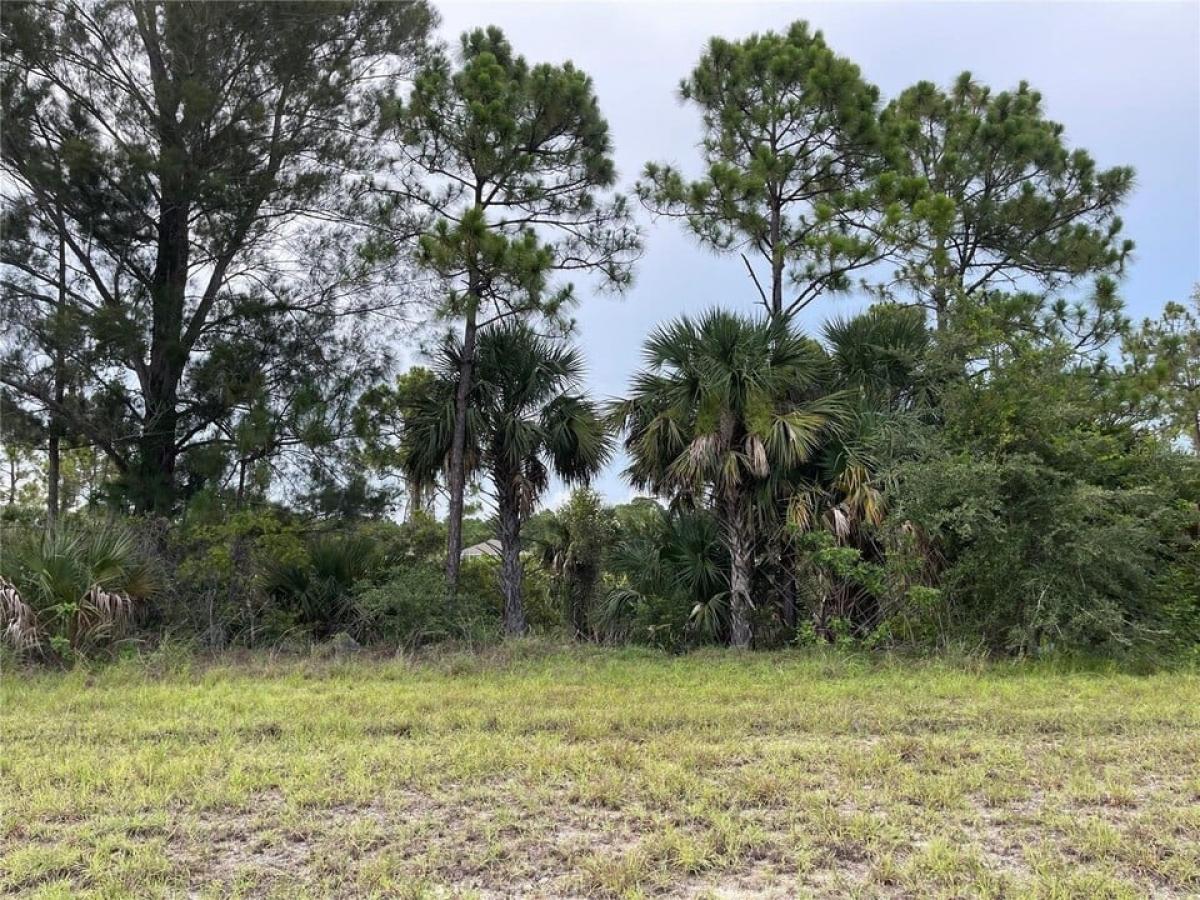 Picture of Residential Land For Sale in Cape Coral, Florida, United States