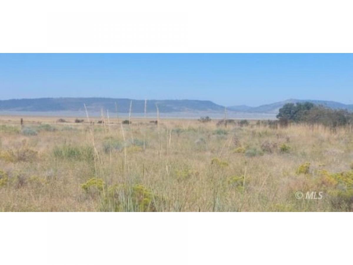 Picture of Residential Land For Sale in New Pine Creek, California, United States