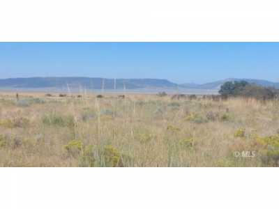 Residential Land For Sale in New Pine Creek, California